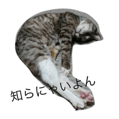[LINEスタンプ] pa！