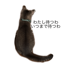 [LINEスタンプ] もん吉2