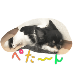 [LINEスタンプ] りりーとべりー