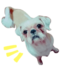 [LINEスタンプ] モンシリ