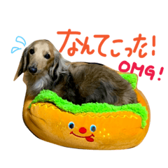 [LINEスタンプ] 高橋家のルーちゃん