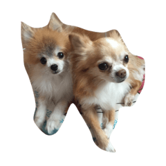 [LINEスタンプ] MiLuffy