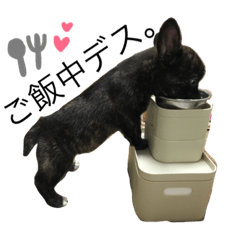 [LINEスタンプ] フレブル コーギー はなちゃん
