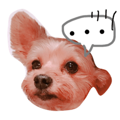 [LINEスタンプ] てでくん☺︎
