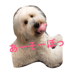 [LINEスタンプ] さくら ファミリー