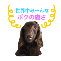 [LINEスタンプ] チョコの魔力