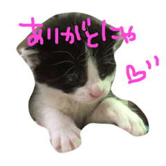 [LINEスタンプ] ゆっくんとはっくん。