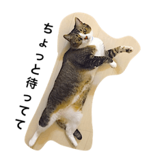 [LINEスタンプ] こてすけ