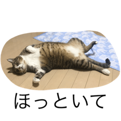 [LINEスタンプ] りんちゃんともんちゃん