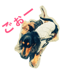 [LINEスタンプ] M＆Z＆N