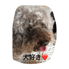 [LINEスタンプ] バッハ＆かん2