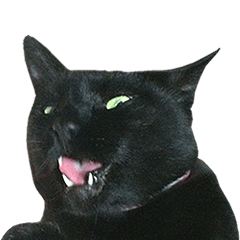 [LINEスタンプ] 『変顔』黒猫スタンプの画像（メイン）