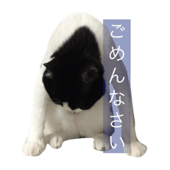 [LINEスタンプ] 我が家のぽんずくん2
