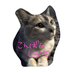 [LINEスタンプ] りりたす