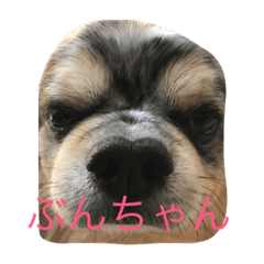 [LINEスタンプ] ぶんきち