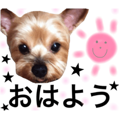 [LINEスタンプ] ロビンちゃんだよ