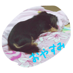 [LINEスタンプ] らっきースタンプ