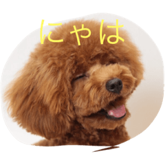 [LINEスタンプ] ビビのこ
