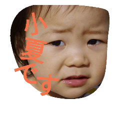 [LINEスタンプ] 小夏な毎日