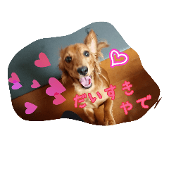 [LINEスタンプ] banshyu dog girl Nami