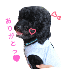 [LINEスタンプ] さくらと仲間たち♡