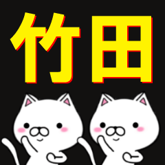 [LINEスタンプ] 超★竹田(たけだ・たけた・ちくだ)なネコの画像（メイン）