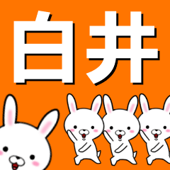 [LINEスタンプ] 超★白井(しらい・しろい・はくい)なウサギ