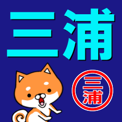 [LINEスタンプ] 超★三浦(みうら・みつうら・さんうら)