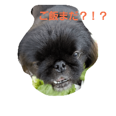 [LINEスタンプ] ご飯は楽しいな