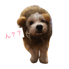 [LINEスタンプ] マルプーが伝えたい事