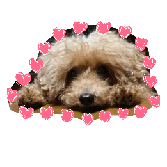 [LINEスタンプ] minto！！