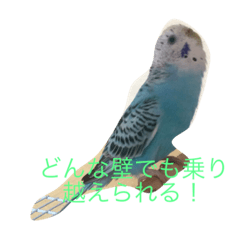 [LINEスタンプ] ポロンスタンプ2