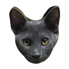 [LINEスタンプ] O M G cats