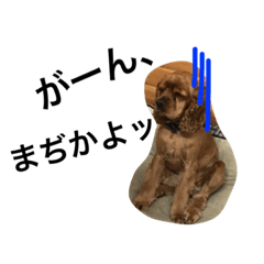 [LINEスタンプ] ここチャンぽてチャン