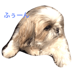 [LINEスタンプ] アシモの1日