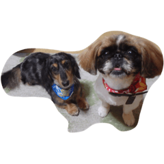 [LINEスタンプ] 我が家の愛犬U・x・U