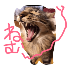 [LINEスタンプ] necoya.sisimaru2