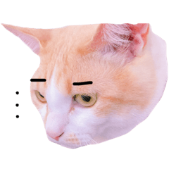 [LINEスタンプ] こてつ日和