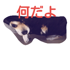 [LINEスタンプ] 8リオン8