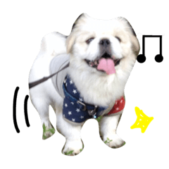 [LINEスタンプ] ペキニーズちょこま
