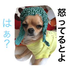 [LINEスタンプ] KOMUGIN