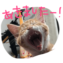 [LINEスタンプ] きな