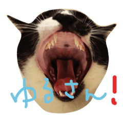 [LINEスタンプ] いわしちゃん