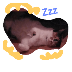 [LINEスタンプ] ほんわか 猫