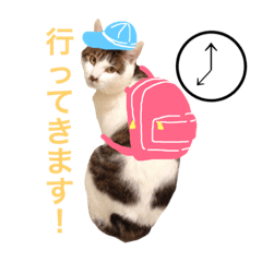 [LINEスタンプ] ネコのあずさ2