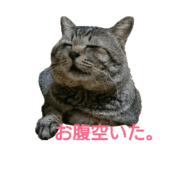 [LINEスタンプ] ぶん太さん。