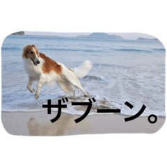[LINEスタンプ] ぼくのパンは海