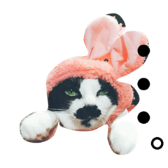 [LINEスタンプ] るのちゃんとりおちゃん