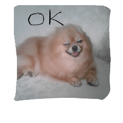 [LINEスタンプ] Toongngen1