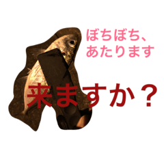[LINEスタンプ] 魚釣りに使えるスタンプ